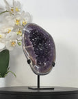 Natural Amethyst Geode with Stunning Agate Shell - MWS2975