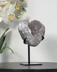 Natural Quartz Druzy Geode – Sparkling Crystal Accent for Home Decor - MWS2518