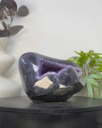 Natural Amethyst Geode with Agate Shell - STGE0098