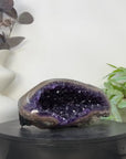 Top Quality Natural Amethyst Geode for Home Decor - STGE0068