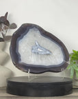 Uruguayan Blue Banded Agate Slice - SLC0023