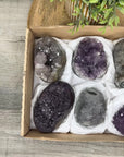 Mineral Specimens Lot - MSLT0194