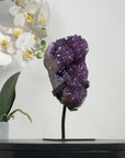 Natural Amethyst Crystal Cluster on Stand - MWS2151