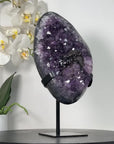 Unique Large Amethyst Cluster with Black Hematite Formation - MWS2529
