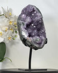 Natural uruguayan Amethyst Geode with Unique Stalactite Formations - MWS2961