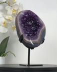 Amethyst Crystal Geode with Natural Agate Shell - MWS2796