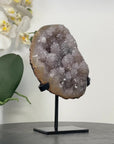 Natural Quartz Geode full of Stalactite Formations - MWS2879