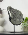 Green Quartz Crystal Cluster with Black Hematite Inclusions - MWS3342