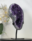 Uruguayan Amethyst Geode with agate Shell Statement Piece - MWS2962