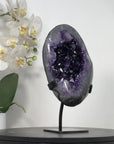 Amethyst Geode with Deep Purple Crystals - MWS2940