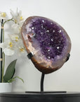 Natural Uruguayan Large Amethyst Geode - MWS2097