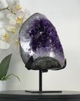 Natural Large Amethyst Geode with Shinny Crystals on Metal Stand - MWS2797