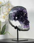 Top Grade Uruguayan Amethyst Geode with huge & Deep Purple Crystals - MWS2565