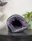 Natural Amethyst Geode with Green Jasper Shell - STGE0092