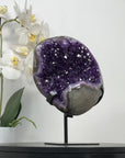 One of a Kind Natural Amethyst Geode - MWS2071