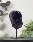 Top Grade uruguayan Amethyst Crystal on Stand - MWS3255
