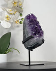 Amethyst Crystal Cluster - MWS1903
