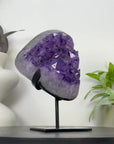 Uruguayan Amethyst Cluster with Large Beautiful Crystals - MWS3334