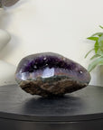 Amethyst Geode with Deep purple Crystals & Polished Shell - STGE0119