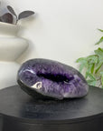 Large Amethyst Stone Geode with Polished agate Shell - STGE0085