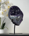 AAA+ Grade Amethyst & Agate Crystal Cluster - MWS2340
