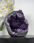 Large Amethyst Geode with Beautiful Stalactite Formations - CBP1223