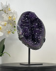 Top Quality Natural Amethyst Geode - MWS2378