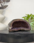 Amethyst Geode with Polished Shell - STGE0099