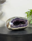 Uruguayan Amethyst Geode with Polished Shell - STGE0120