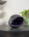 Uruguayan Amethyst Geode with Polished Shell - STGE0090
