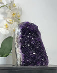 Large Deep Purple Amethyst Cathedral - CBP1264