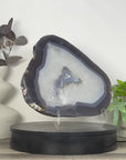 XL Blue Banded Agate Slice - SLC0025