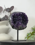 Top Grade Amethyst Geode with Large Purple Crystals - MWS3115