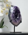 Premium Uruguayan amethyst Geode with Agate Shell - MWS2435