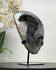 Black Amethyst Geode with Calcite Crystal Specimen - MWS2848