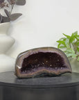 Natural Amethyst Geode with Agate Shell - STGE0112
