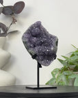 Natural Amethyst with Stalactite Formation & Green Jasper Shell on Stand - MWS3256