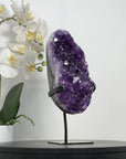 Amethyst Crystal Cluster with Large & Shinny Crystals - MWS2210