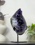 Top Quality Natural Amethyst Geode with Green Japer Shell - MWS3348
