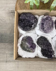 Mineral Specimens Lot - MSLT0206