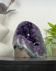 Deep Purple Deep Purple Amethyst with Green Jasper Shell - CBP1295