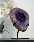 Natural Amethyst Geode with Agate Shell - MWS2431