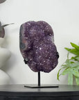 Uruguayan amethyst Geode with Quartz Shell on Stand - MWS3306