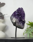 Uruguayan Amethyst Cluster with Large & Shinny Crystals - MWS3314
