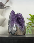 Natural Amethyst Geode Cathedral Geode from Uruguay - CBP1296