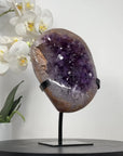 Stunning Amethyst Geode with Pseudo Calcite Formation - MWS1876