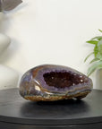Natural Amethyst Geode with agate Shell - STGE0117