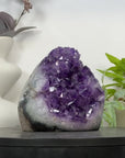 Uruguayan Amethyst Cathedral Statement Piece - CBP1300