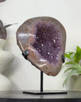 Uruguayan Amethyst Geode with Stunning Quartz Shell - MWS3340