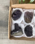 Mineral Specimens Lot - MSLT0207